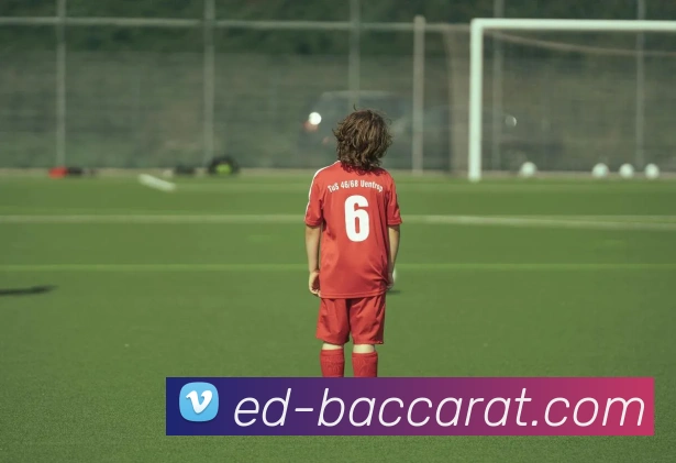 百家乐官网APP 封面图